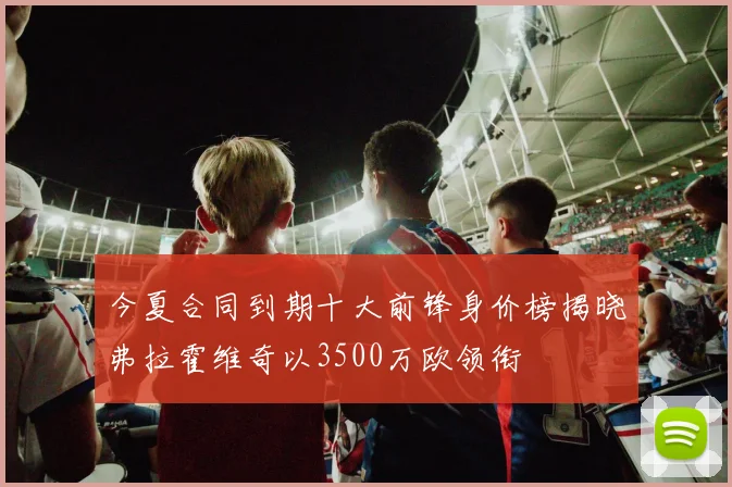 今夏合同到期十大前锋身价榜揭晓弗拉霍维奇以3500万欧领衔