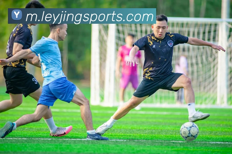 乐竟体育APP 封面图